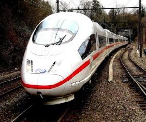 A bullet train or high speed passenger train puzzle