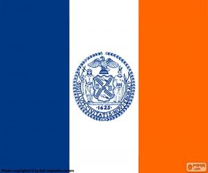 Flag of New York puzzle