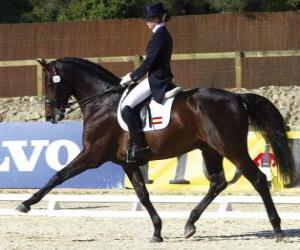 Horse and rider performing a dressage exercise puzzle & printable jigsaw