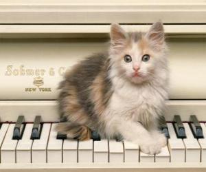 Kitten playing upon a piano puzzle