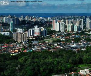 Manaus, Brazil puzzle