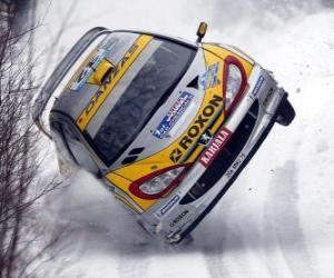 Rally Car on the snow puzzle