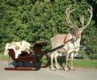 A Santa Claus's reindeer pulling a sleigh