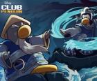 Ninja penguins, characters of the famous Club Penguin