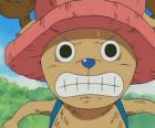Tony Tony Chopper is a medical expert who is transformed into an anthropomorphic creature