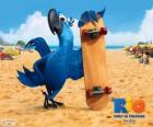 Blu is a fun macaw and the main protagonist of the film Rio