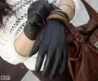A pair of stylish gloves