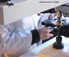 Scientist with a microscope in the laboratory