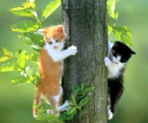 Two cats up a tree puzzle