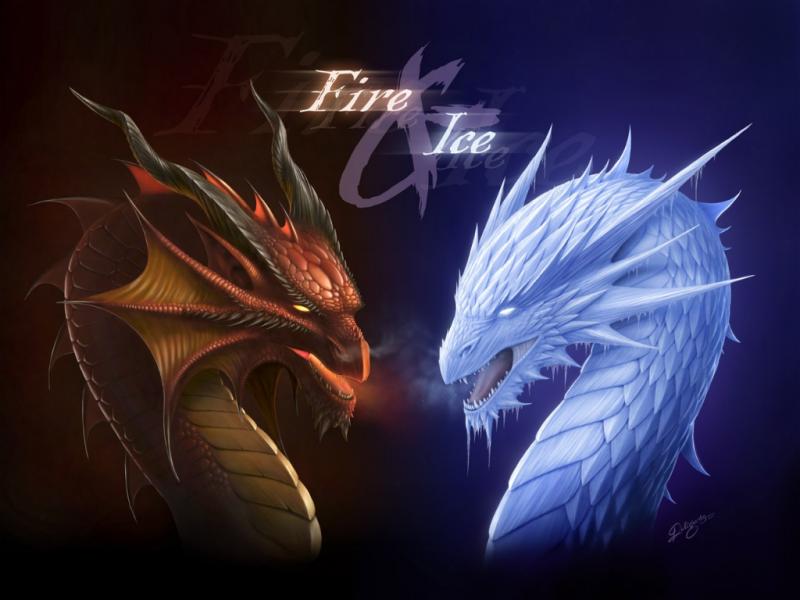 dragon fire vs ice puzzle