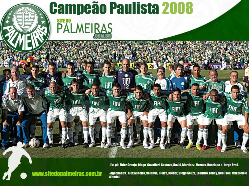 Palmeiras Puzzle puzzle