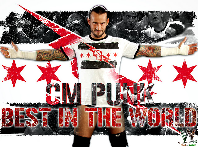 cm punk best in the world puzzle