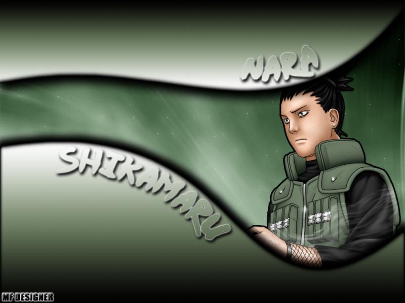 shikamaru puzzle