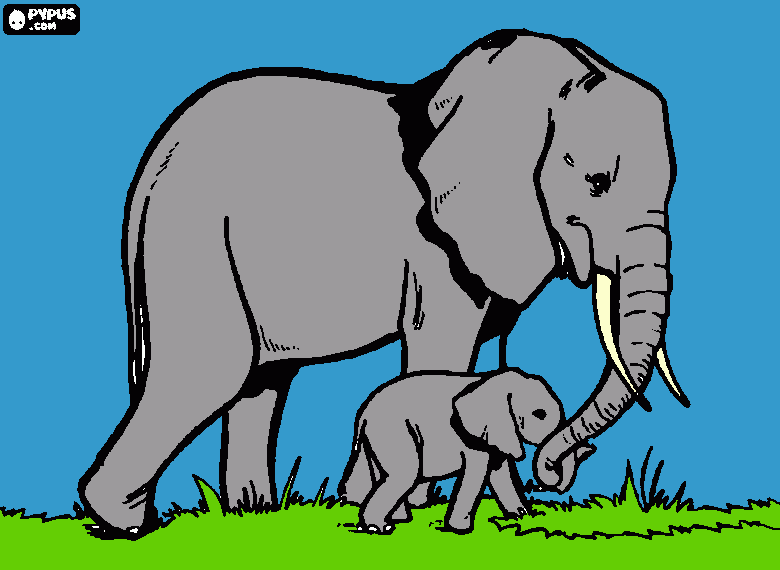 Elephants puzzle