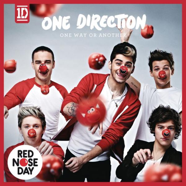 One Direction- One Way Or Another puzzle