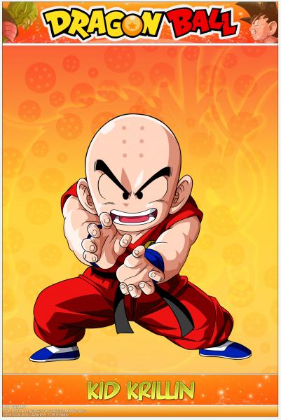 Krillin puzzle  puzzle