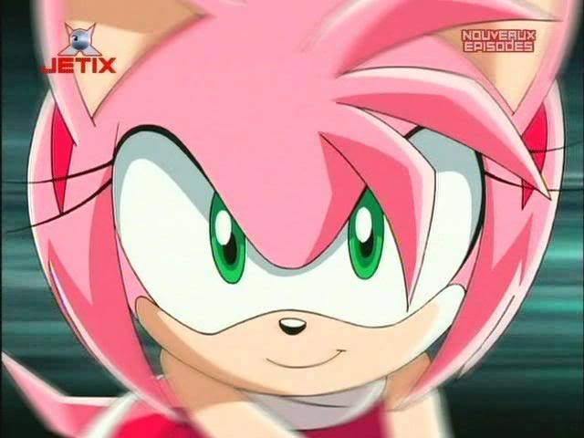 Amy Rose, wildly in love with Sonic puzzle