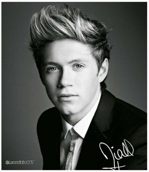 Niall Horan puzzle