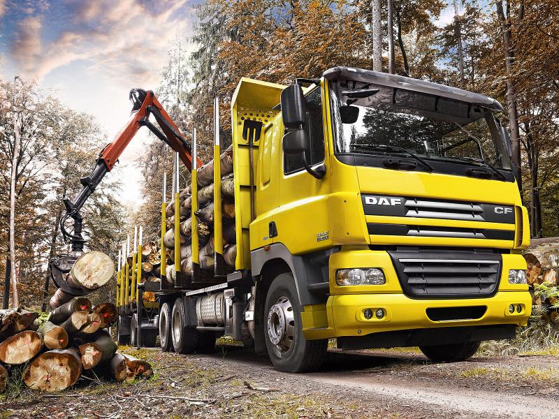 daf cf lemne puzzle