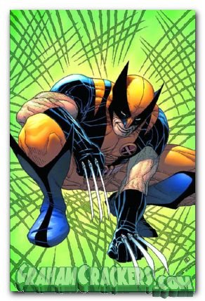 Wolverine puzzle