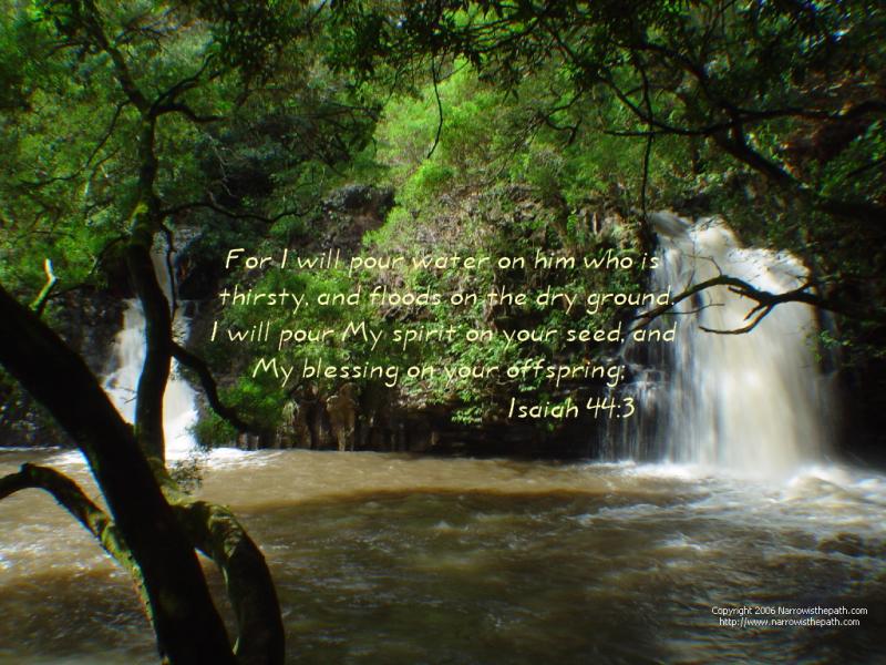 trees and waterfalls and bible verse puzzle