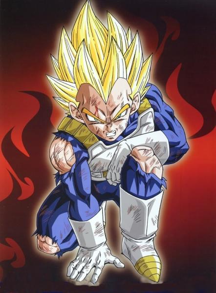 vegeta puzzle