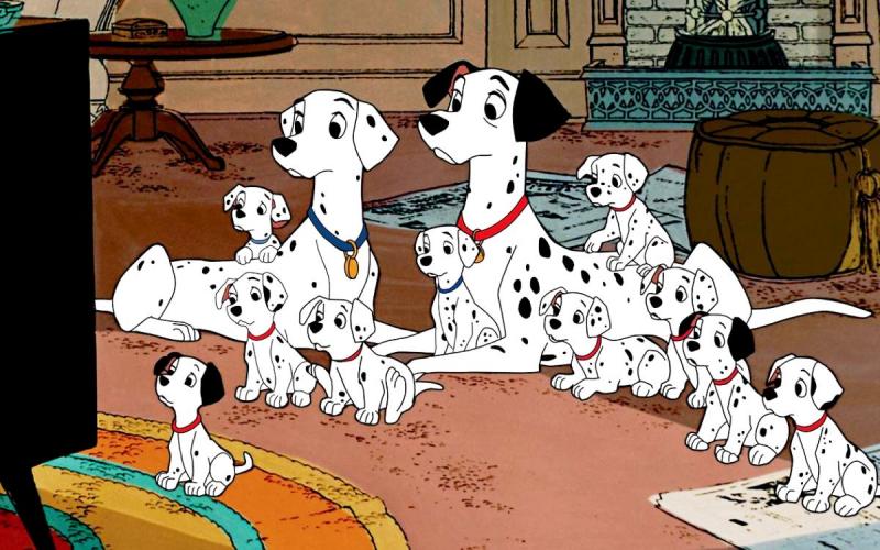 dalmatian  puzzle