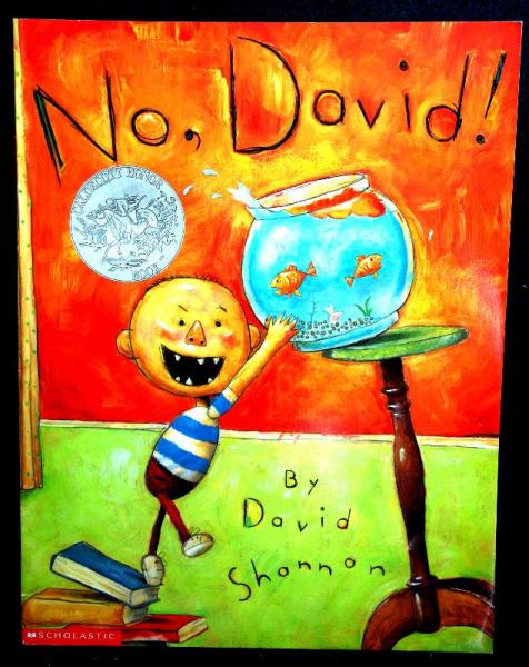 No David By David Shannon puzzle