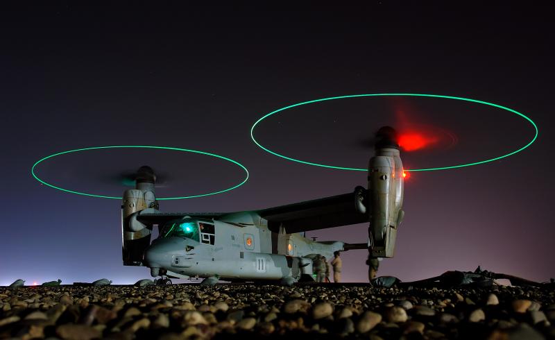 osprey in the night puzzle