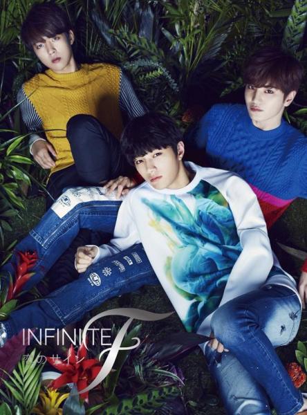 infinite F puzzle