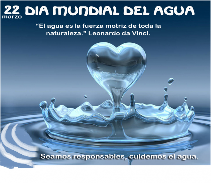 el dia del agua puzzle