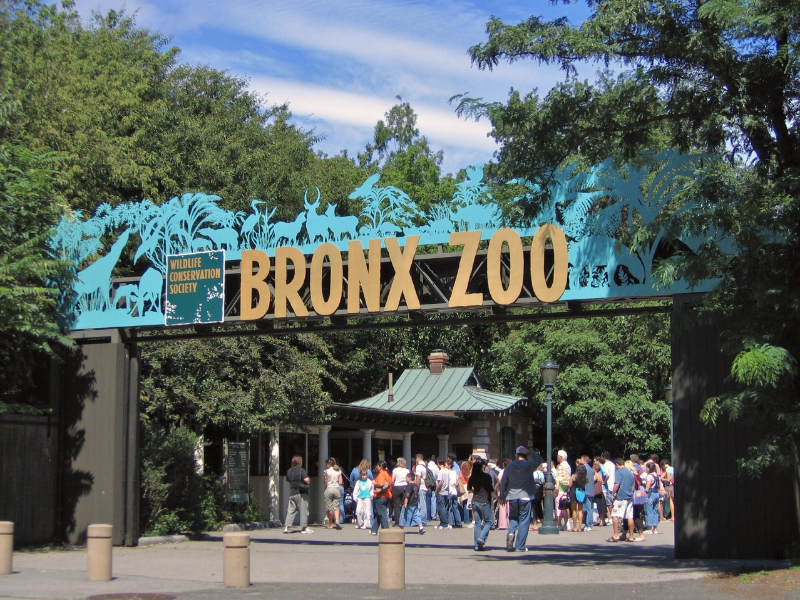 Bronx Zoo  puzzle