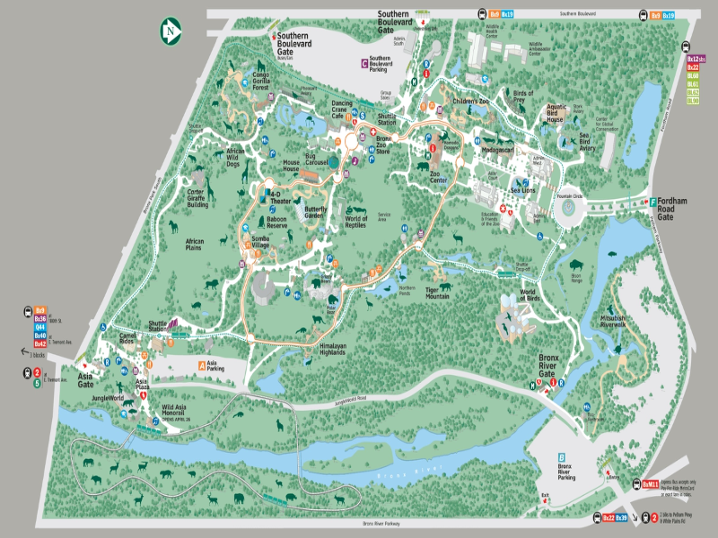 Bronx Zoo Map  puzzle