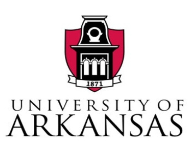 University of Arkansas  puzzle