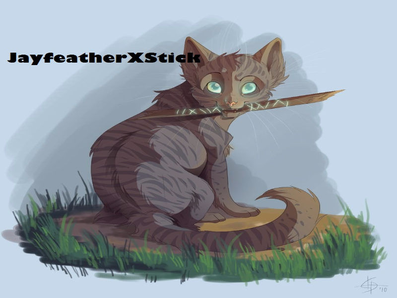 Warrior cats Jayfeather and stick puzzle