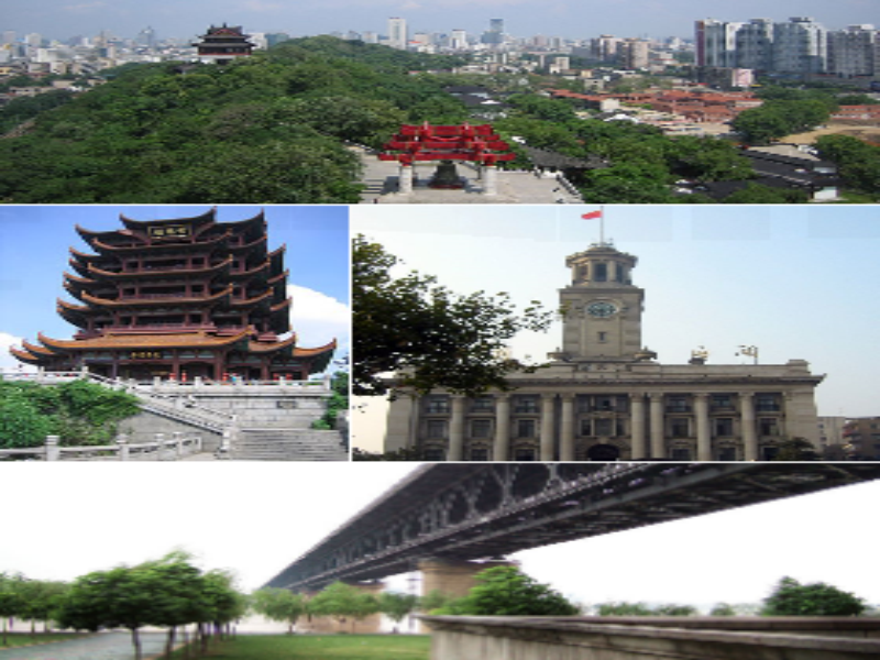 Wuhan  puzzle