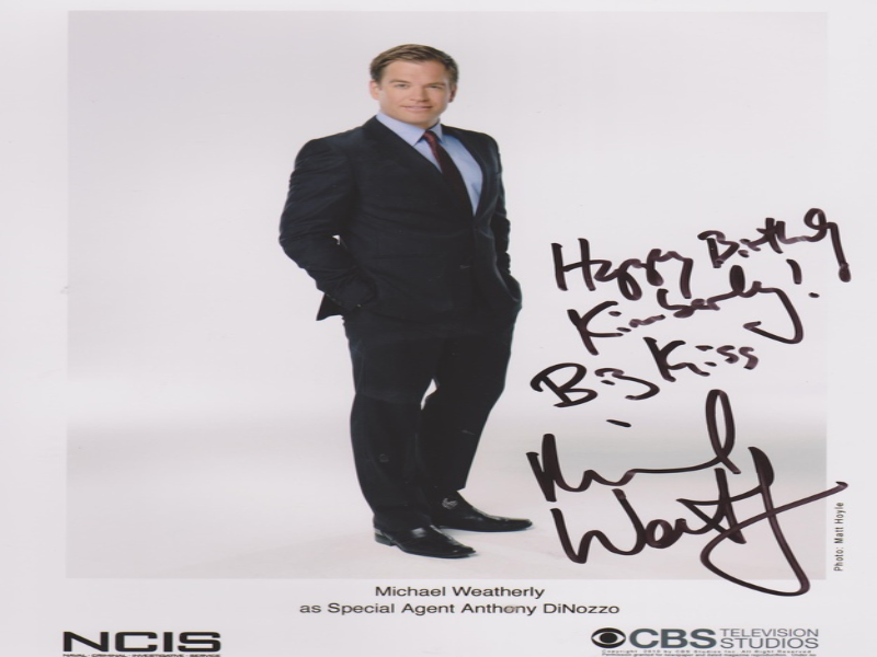 Michael Weatherley as Special Agent Anthony DiNozzo  puzzle