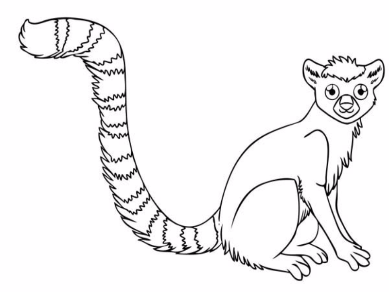 Lemur puzzle