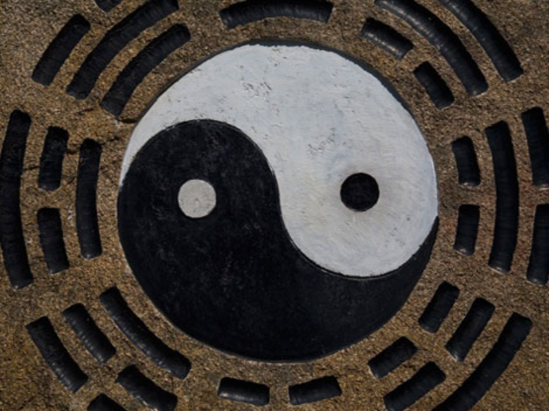 yin and yang puzzle