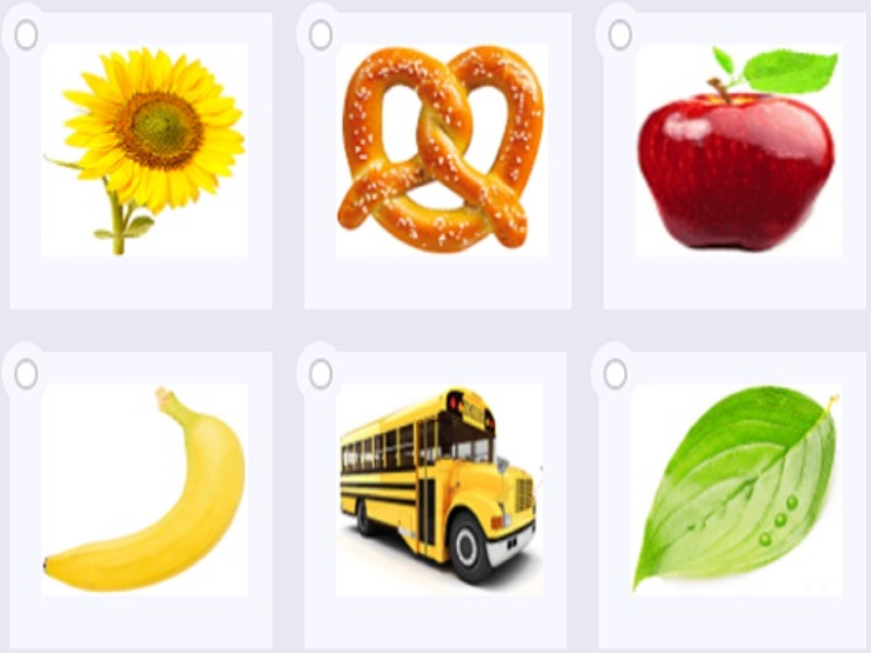 flower pretzel apple banana bus leaf puzzle