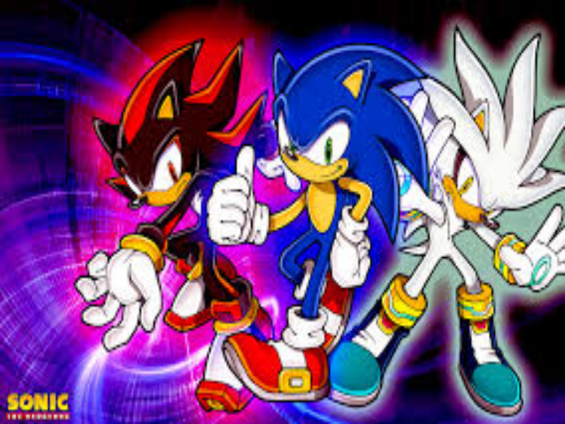 sonic silver shadow brothers puzzle