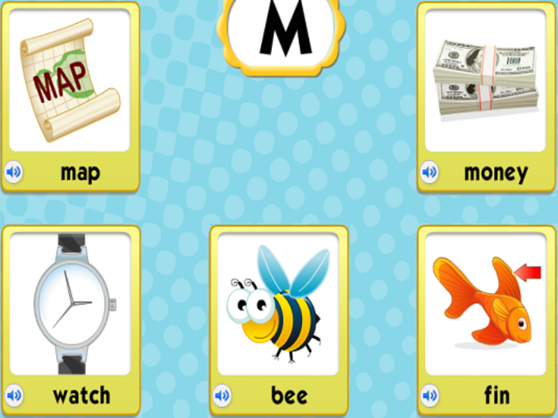 map money watch bee fin puzzle