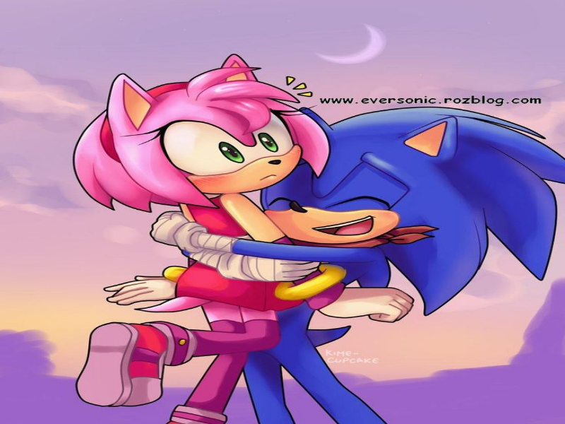 sonic and amy puzzle