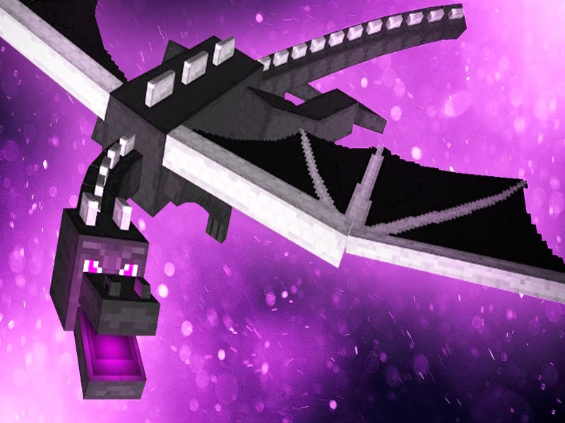 The Ender Dragon puzzle