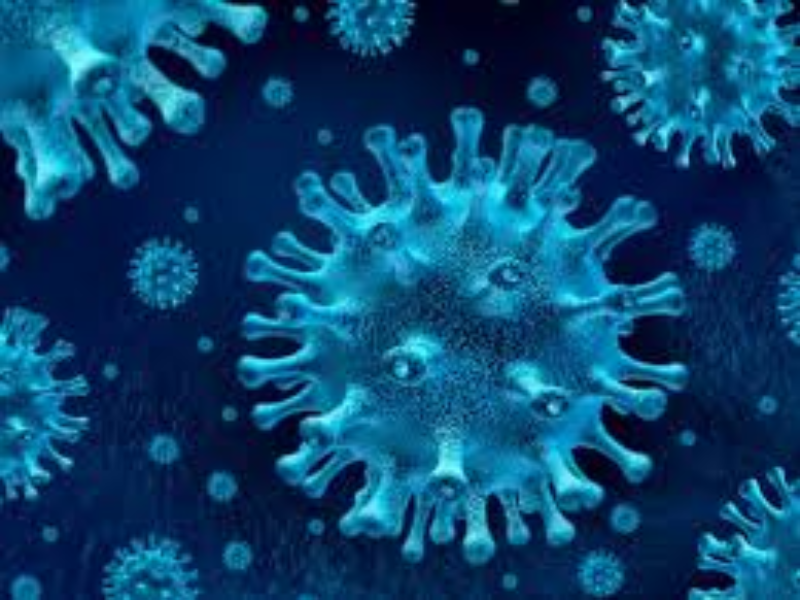 ¿Listo para combatir al terrible coronavirus? puzzle