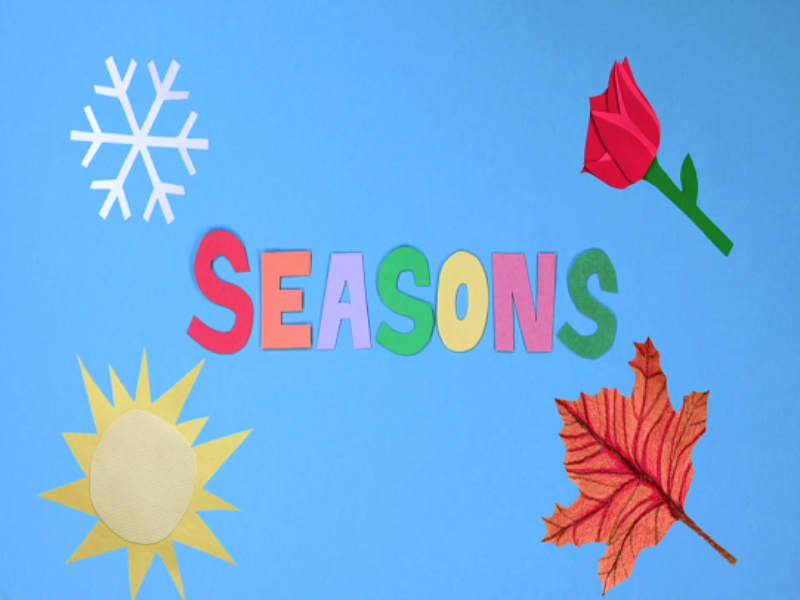 seasons puzzle