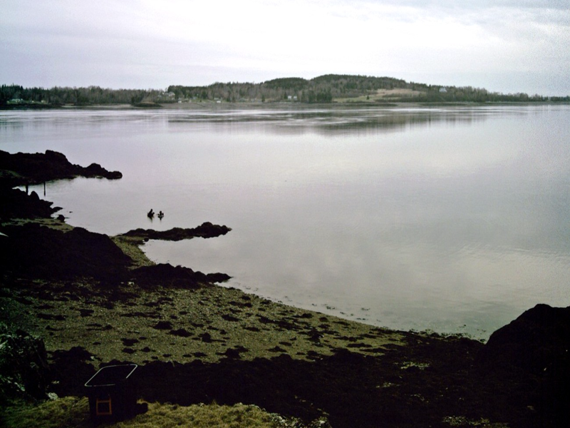 Passamaquoddy Bay puzzle