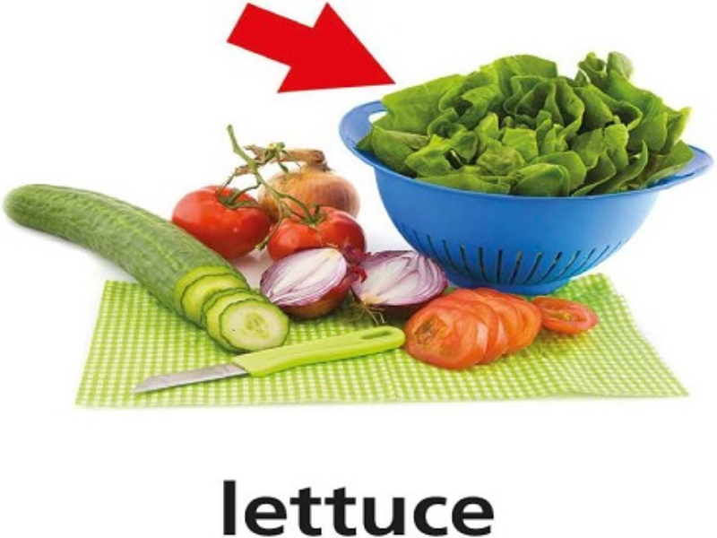 lettuce puzzle