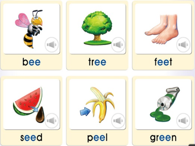 bee tree feet seed peel green puzzle