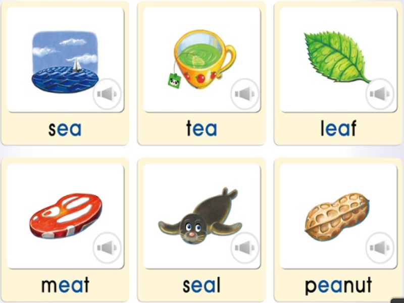 sea tea leaf meat seal peanut puzzle